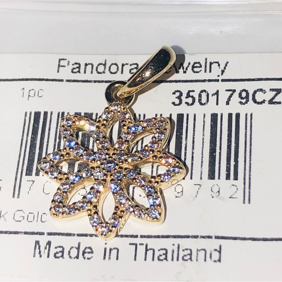 Authentic Pandora Solid 14k Gold Lace Botanique Floral Charm G585 Ale NWT - Picture 2 of 11